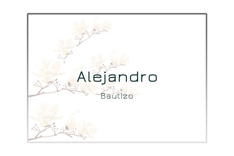 Alejandro (Bautizo)