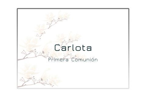 Carlota (Primera Comunión)