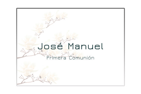 José Manuel (Primera Comunión)